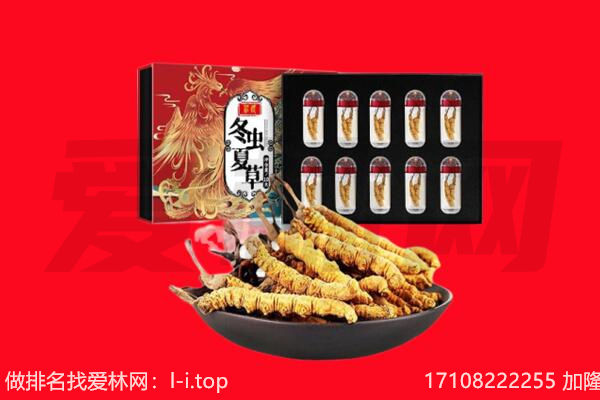 株洲回收虫草.jpg